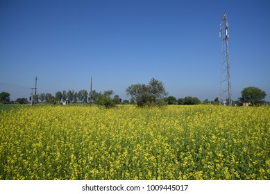 Telecom Towers In India