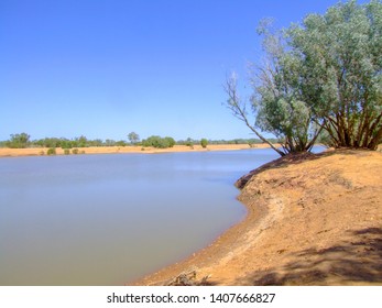 221 Bush Telegraph Images, Stock Photos & Vectors | Shutterstock