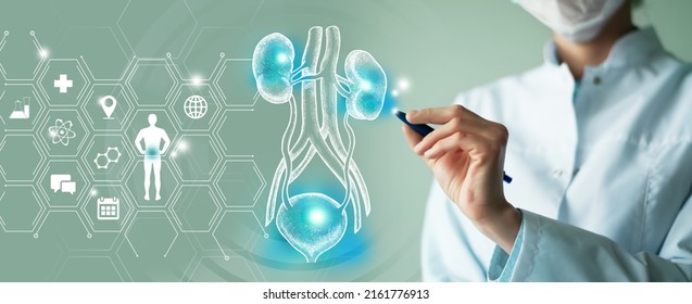 Telemedicine and human urinary system recovery concept. Turquoise color palette, copy space for text. - Shutterstock ID 2161776913