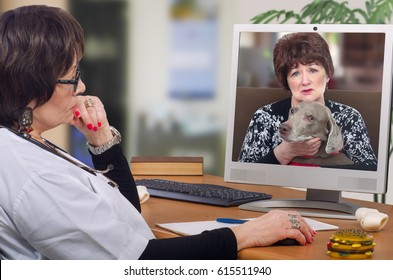 Telemedicine Veterinarian Provides A Diagnosis And Advice For Weimaraner Dog On Computer Monitor. Sitting At The Desk Virtual Vet Looks At Pet With Owner Attentively. Horizontal Mid-shot