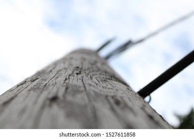 Telephone Pole Close Up Macro