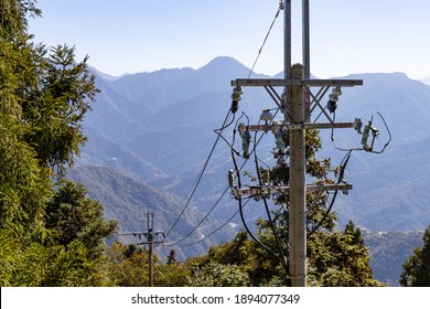 Telephone Pole In The Forest (The Chinese Texts On The Telephone Pole Means 