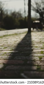 Telephone Poll Casting Shadow On Old Historic Brick Walkway From 1800's