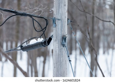 Telephone Poll With Snow On Wires Close Up With Trees In Background