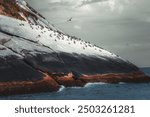 A telephoto view of the unique Ilha Cagarra, a rocky island near Rio de Janeiro, Brazil, covered with seabirds. The island is known for its rich biodiversity and natural beauty