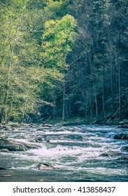 Tellico River