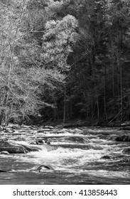 Tellico River