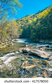 Tellico River