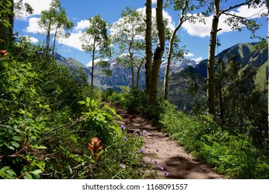 Telluride Colorado Hiking Trail