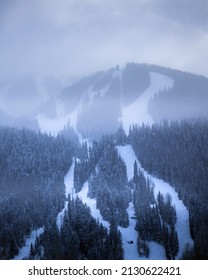 Telluride Ski Slopes In Colorado