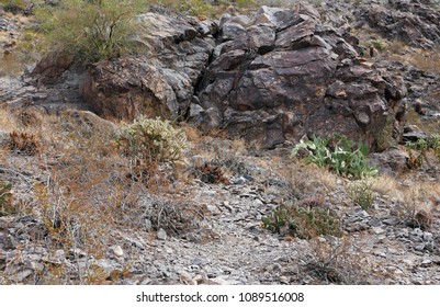 Tempe, AZ, USA: March 24, 2018: Hohokam Indian Petroglyphs At Hayden Butte