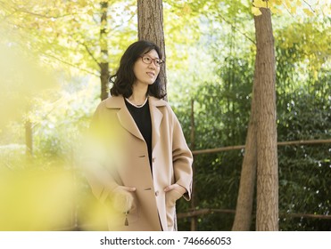 The Temperament Of The Asian Woman In The Park, Beautiful Autumn