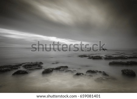 Similar – Image, Stock Photo roaming the beach 2 Nature