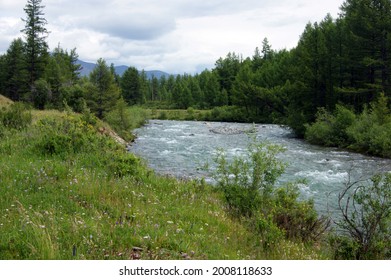 Tempestuous mountain stream in mountain by summer