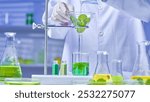 Template image highlights the careful in research features a scientist pours liquid from a flask with pennywort leaves into a beaker, surrounded by tools, chemicals and specimens for experiments.