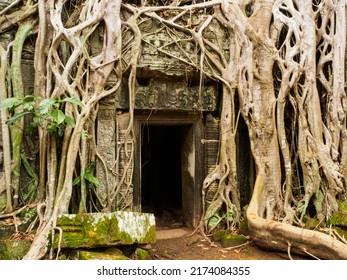 “Tomb Raider” Temple At Angkor Wat