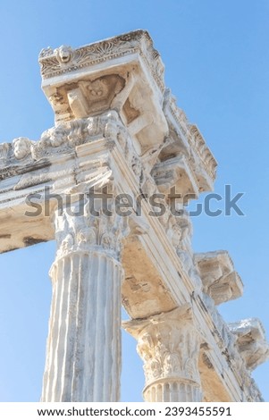 Temple of Apollo in Side (Turkey). Close up fragment of the entablature of the ruined temple, vertical. Stone-cut relief on the frieze. History, art or architecture concept
