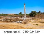 The Temple of Artemis or the Temple of Diana ruins at the Ephesus ancient greek city. Ephesus or Efes is located near Selcuk modern city in Izmir Province in Turkey.