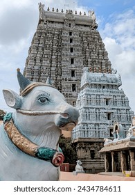 The temple complex itself is massive, and it is said to be one of the largest in India. The main sanctum sanctorum houses a smaller linga, but it is the Arunachala Hill that is the most important obje