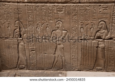 Temple of Edfu, Greco-Roman Temple, God Horus, Egypt, pharaoh, falcon head, Pharaohs, Archaeology, necropolis, Egyptology, Apollonopolis magna, Apollo, pilon, hathor, hypostile, hieroglyphic