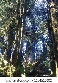 Temple in the forest