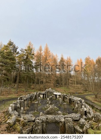 Druid’s temple in the forest