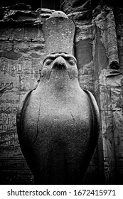 The Temple of Horus at Edfu Eagle Statue In Egypt
