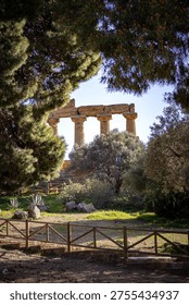 Temple of Juno in the Valley of the Temples in Agrigento, surrounded by trees and prickly pears under clear sky – Sicily, Italy.