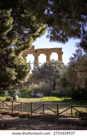 Temple of Juno in the Valley of the Temples in Agrigento, surrounded by trees and prickly pears under clear sky – Sicily, Italy.