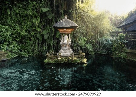 Temple in the middle of a beautiful holy spring in Sebatu village, Tegallalang, Bali. This temple is known as Pura Gunung Kawi (Pura Gunung Kawi)