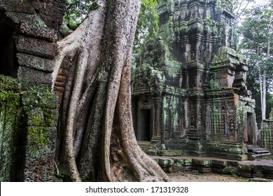 The Temple Of Ta Prohm, Made Famous By Tomb Raider