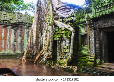 The Temple Of Ta Prohm, Made Famous By Tomb Raider