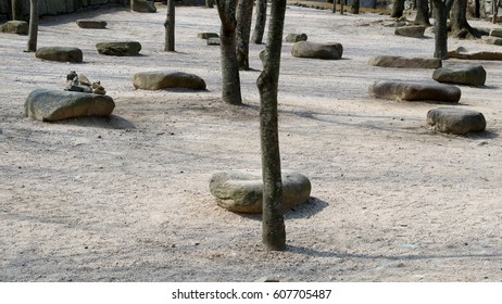temples spring