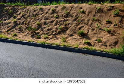 Temporary Covering Of The Lawn Sowing With Textiles To Ensure A Large Slope Against Erosion. Using Brown Jute Fabric Stabilizing Coconut Net For Steep Slopes. In Heavy Rain The Soil Does Not Leach Out