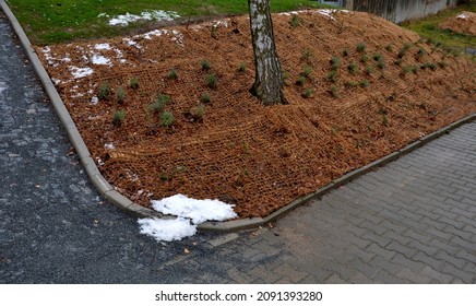 Temporary Covering Of The Lawn Sowing With Textiles To Ensure A Large Slope Against Erosion. Using Brown Jute Fabric Stabilizing Coconut Net For Steep Slopes. In Heavy Rain The Soil Does Not Leach Out