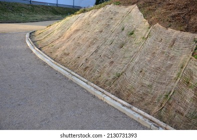 Temporary Covering Of The Lawn Sowing With Textiles To Ensure A Large Slope Against Erosion. Using Brown Jute Fabric Stabilizing Coconut Net For Steep Slopes. In Heavy Rain The Soil Does Not Leach Out