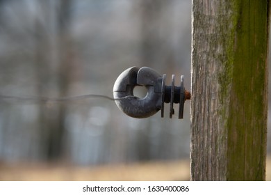 Temporary Electric Fencing - Electric Farm Fence, Farm, Farm Boundary, Cow Pasture In The Countryside