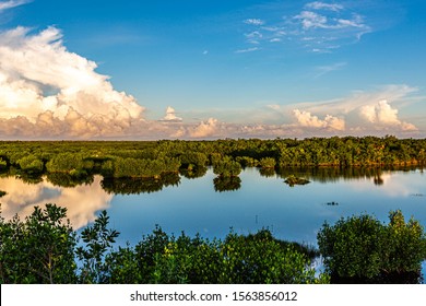 Ten Thousand Islands Naples Florida