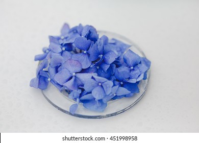 Tender blue flowers lie on a small glass plate - Powered by Shutterstock