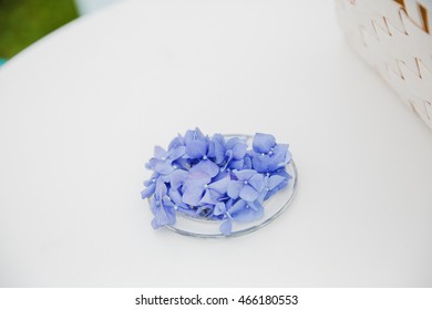 Tender blue flowers lie on a small glass plate - Powered by Shutterstock