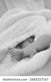 A tender, monochrome close-up of a baby's tiny feet peeking out from a soft, white knitted blanket.
