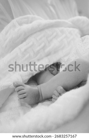 A tender, monochrome close-up of a baby's tiny feet peeking out from a soft, white knitted blanket.