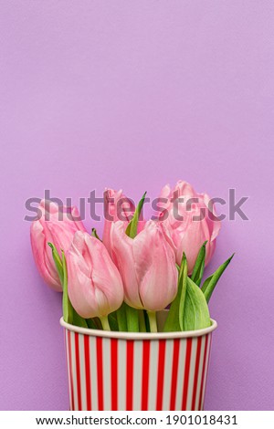 Tender pink tulips inside of red striped popcorn cup on pastel violet background. Flat lay. Copy space. Place for text. Concept of international women's day, mother's day, easter. Valentines love day