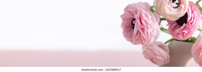 Tender ranunculus flowers in trendy ceramic minimalistic vase on pink background with copy space. Bunch of Persian buttercup, banner size