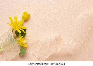 Tender Spring Flowers With Ribbon On Desk. Minimalism