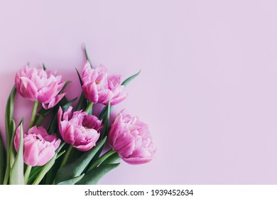 Tender violet tulips on pastel violet background. Greeting card for Women's day. Flat lay. Place for text. 