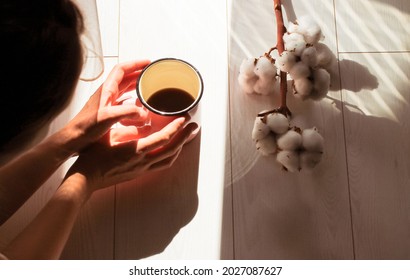 Tender woman's hands reaching for a pink cup of black coffee on a white wooden floor. Contrasting shadows, morning light. Cotton flower branch. Hot aromatic drink in a mug. Cozy homy atmosphere. Fall.