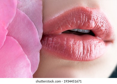 Tenderness pink rose. Lips care. Tenderness womans lips with pink rose. Tenderness woman. Concept of caring and tenderness