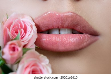 Tenderness rose. Tenderness womans lips with pink rose. Tenderness woman. Concept of caring and tenderness