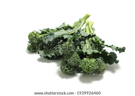 tenderstem broccoli in a white background